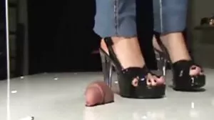 Μικροσκοπικό σπέρμα latina perkys